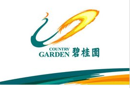碧桂園集團(tuán)-哈佛伙伴